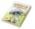 Mushroom Coloring Book : Adult Coloring Book Features Mushroom Fungi Mycology For Stress Relief