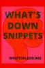 What's Down Snippets : Entertainment Galore