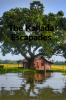 The Kallada Escapades