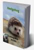 Hedgehog Coloring Book for Kids : Children Activity Book for Boys and Girls Ages 3-8 with Super Cute Hedgehog | A Super Cool Gift for Boys and Girls Ages 3-8 – Hedgehog Coloring and Activity Book ...