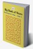 Rectangular Maze - Book 5 : Big Book of Mazes