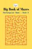 Rectangular Maze - Book 6 : Big Book of Mazes