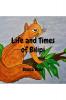 Life and Times of Bilipi