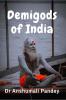 Demigods of India