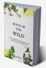 Ways of the wild : Poetry based on the experiences and understanding of the wilderness