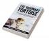 THE VISIONARY TORTOISE: Harness your Power of Imagination to Achieve Extraordinary Success