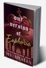 Our Version of Euphoria : The Rajvansh Heirs Book 1