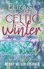 Celtic Winter: Eliza's Story: 2 (Once Upon an Irish Summer)