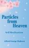 Particles from Heaven