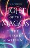 LIGHT of the MAGOS