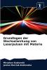 Grundlagen der Wechselwirkung von Laserpulsen mit Materie
