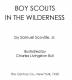 Boy Scouts in the Wilderness