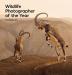 WILDLIFE PHOTOGRAPHER OF THE YEAR: PORTFOLIO 33