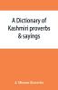 A Dictionary of Kashmiri Proverbs & Sayings Explained and Illustrated From the Rich and Interesting Folklore of the Valley