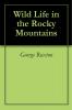 Wild Life in the Rocky Mountains: A True Tale of Rough Adventure in the Days of the Mexican War