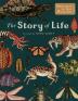 STORY OF LIFE (EXTENDED EDITION)