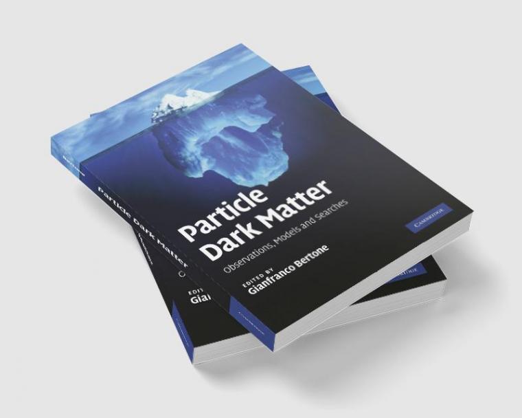 Particle Dark Matter