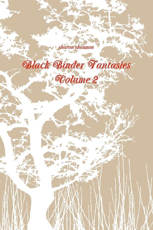 Black Binder Fantasies Volume 2