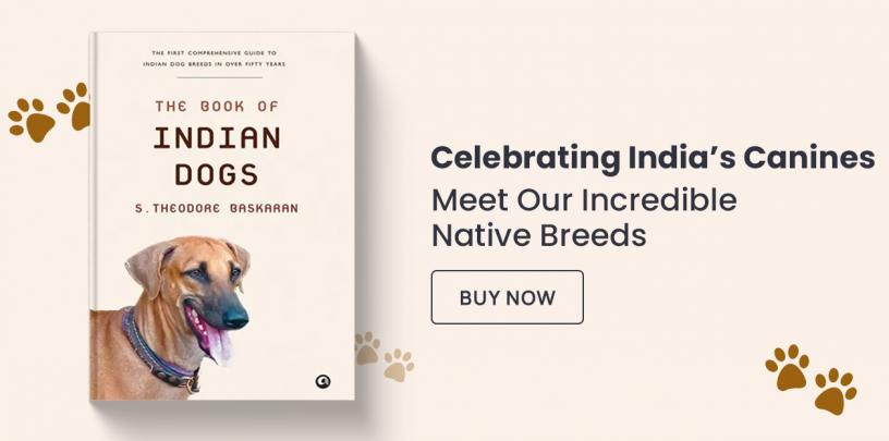 India’s Canines, indies, dogs, street dogs, indian dogs