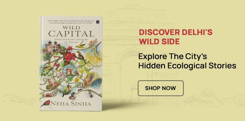 Discover Delhi's Wild Side